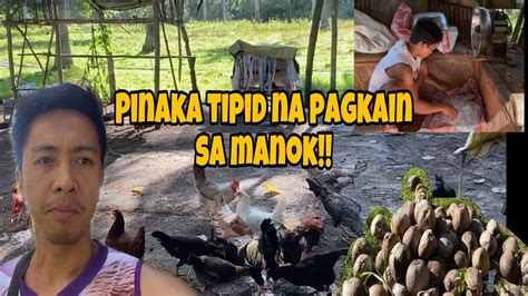 Paano Makatipid Sa Pagkain Ng Manok Halos Ang Tipid At Malusog Ang