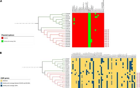 Frontiers Emergence Of IncHI2 Plasmids With Mobilized Colistin