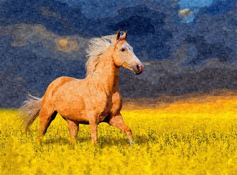 Lone Ranger Horse Painting by MJ Arts Collection - Fine Art America