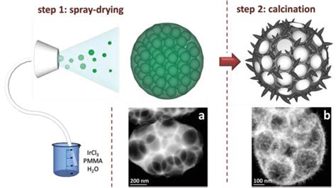 Schematic Representation Of The Synthesis Process With Stem Images Of