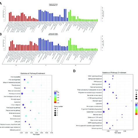 Comparison Of Functional Annotations Of The Target Gene Of Download Scientific Diagram