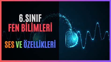 Sinif Fen B L Mler Ses Ve Zell Kler Youtube