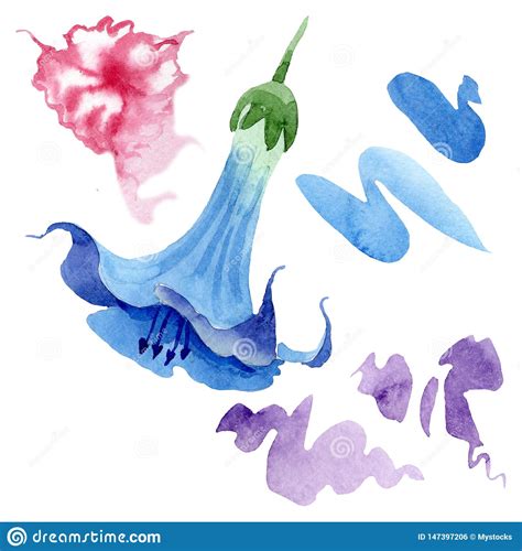 Flores Nicas Florales Del Brugmansia Azul Conjunto Del Fondo De La