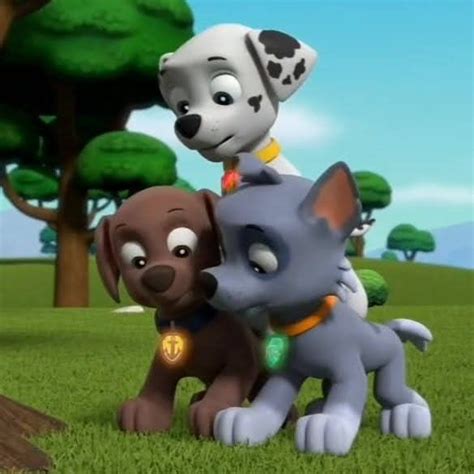 Paw Patrol Mighty Pups Rescue Adventure Bay 30 Minute Compilation Nick Jr Artofit