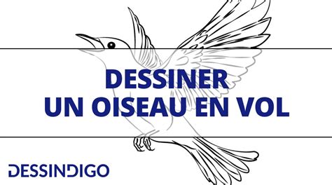 Comment Dessiner Un Oiseau En Vol Blog Dessindigo