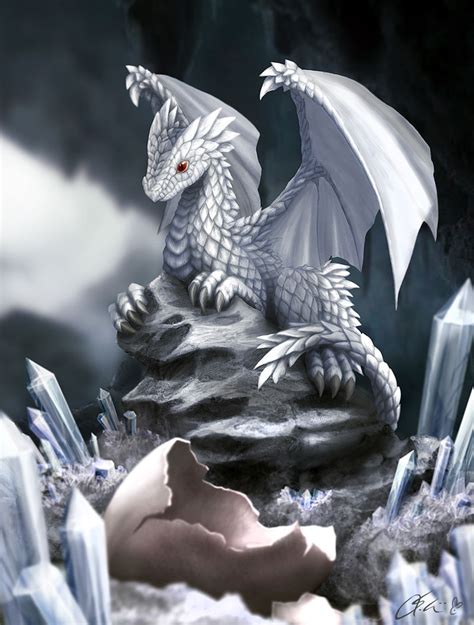 White Dragon Hatchling By Dashase On Deviantart