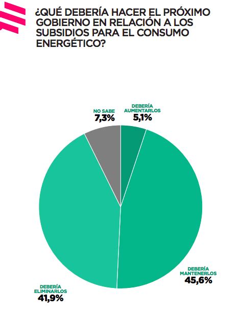 Contradicciones Argentinas Los Datos Finales De La Encuesta Que