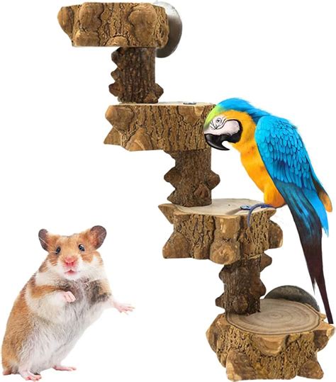 Stronrive Perchoir Perroquet Perchoirs Naturels Pour Oiseaux Jouets