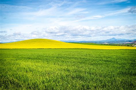 Images Gratuites Paysage Herbe Horizon Champ Prairie Prairie