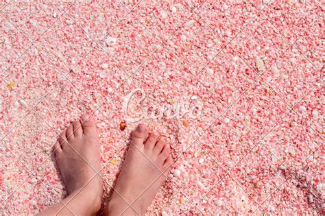 Barbuda Pink Sand Beach - Photos by Canva