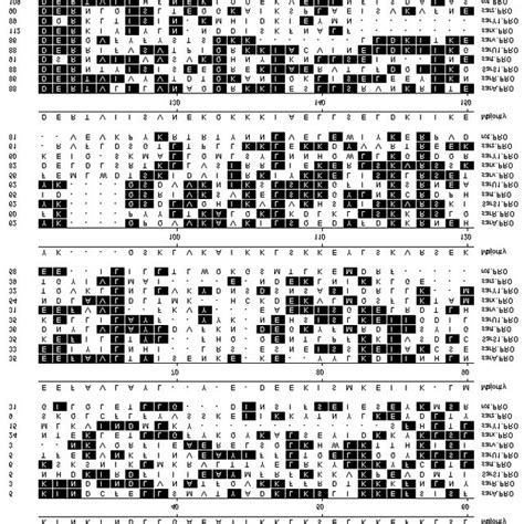 A model of the agr regulatory system. AgrC and AgrA are the kinase ...