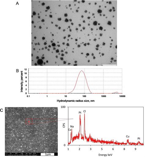 Platinum Nanostructures Obtained During Novel Synthesis A Platinum