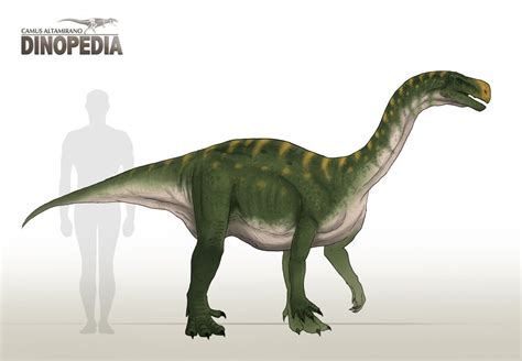 Aardonyx Celestae By Camusaltamirano On Deviantart Dinosaur Art