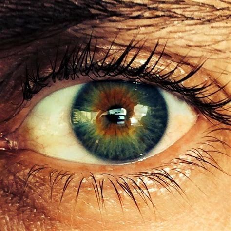 Pin By Ashleigh M On Heterochromia Iridum Heterochromia Eye Art