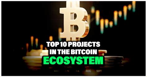 Top Projects In The Bitcoin Ecosystem Altcoin Buzz