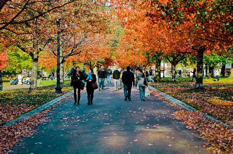 Best Places To See Fall Foliage In Boston Furnished Quarters