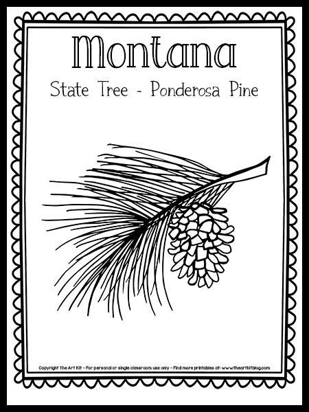 The State Tree Ponder Pine Coloring Page
