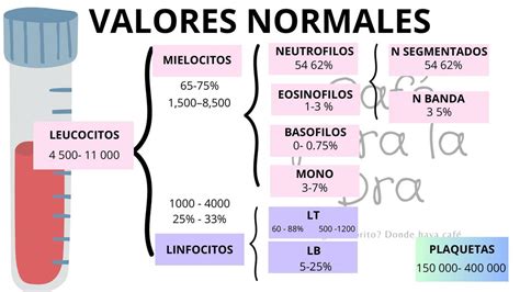 Hematologia Hemograma Valores Normales Dra Baltodano Udocz