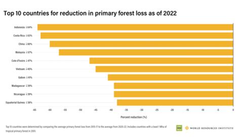 Global Deforestation Surges Despite Cop Commitments Wood Central