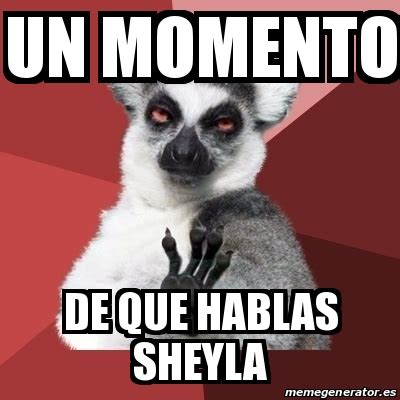 Meme Chill Out Lemur Un Momento De Que Hablas Sheyla 29905598