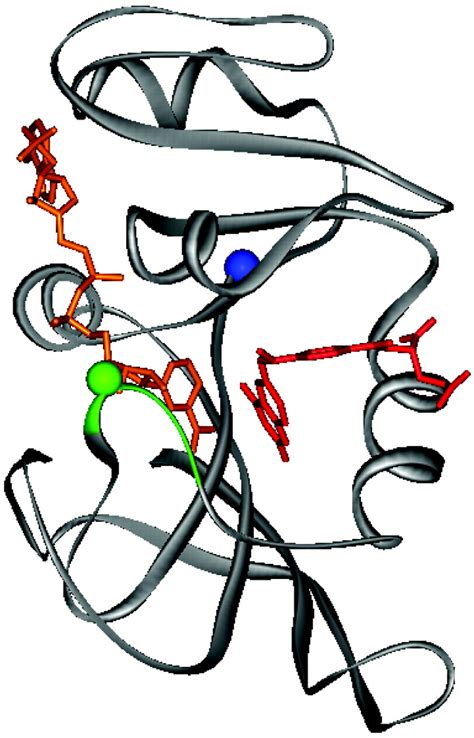 Interaction Of Dihydrofolate Reductase With Methotrexate Ensemble And