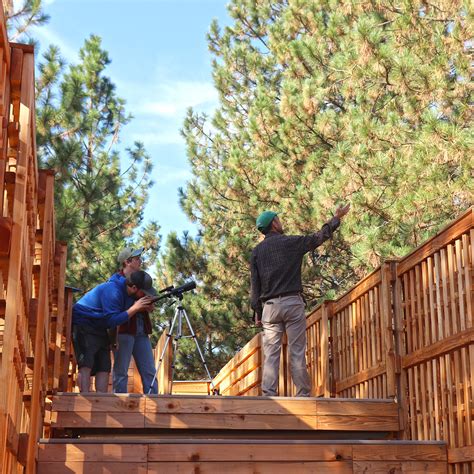 Neuman Forest Environmental Learning Pavilions Design Build Program