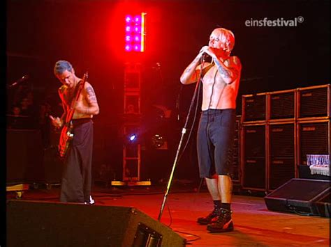 Funky Crime Perú Red Hot Chili Peppers Bizarre Festival 1999 DVD