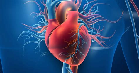 Cardiovascular Disease Impacts And Risks • Heart Research Institute