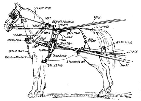 Horse Cart Parts Diagram Wagon Parts Horse Drawn Harness Wag