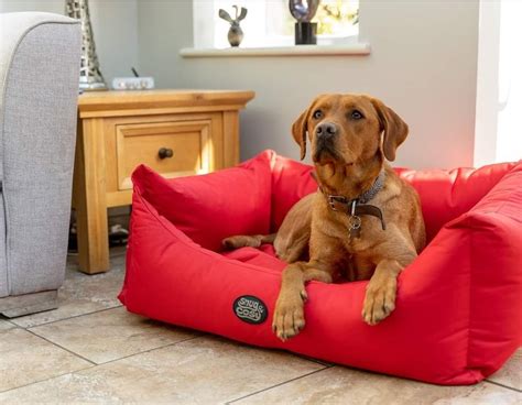 Luxury Snug And Cosy Dog Beds Collection Uk Snug And Cosy Snug And