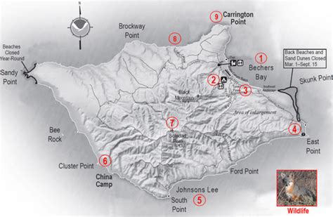 Guide to Hiking and Camping on Santa Rosa, Channel Islands – Wandering ...