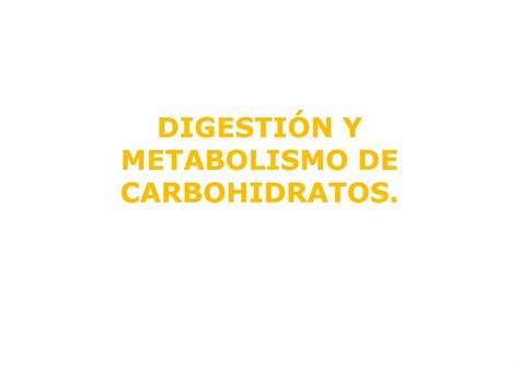 Pdf Digesti N Y Metabolismo De Carbohidratos