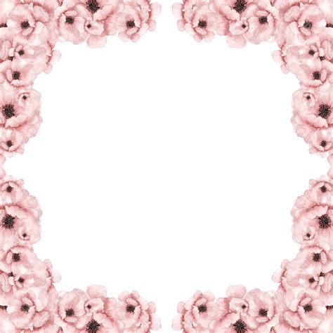 Flower Frame Border Flower Border Flower Pink Flower Border Png