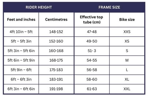 Bike Frame Size Chart Ladies At Eva Jackson Blog