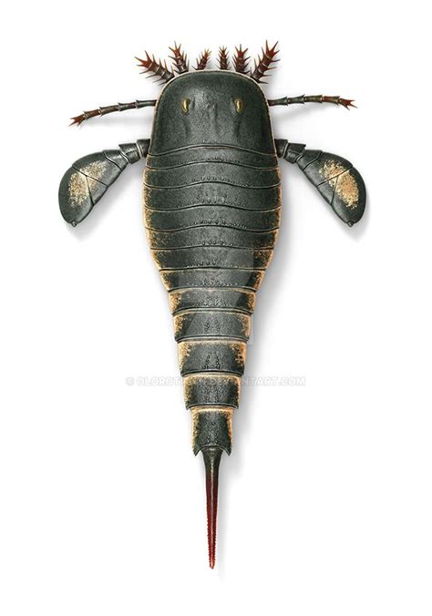 Eurypterus by Olorotitan on DeviantArt