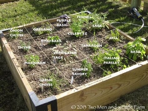 Herbbed Garden Layout Vegetable Herb Garden Design Raised Herb