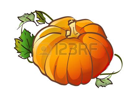 Pumpkin Vine Drawing | Free download on ClipArtMag