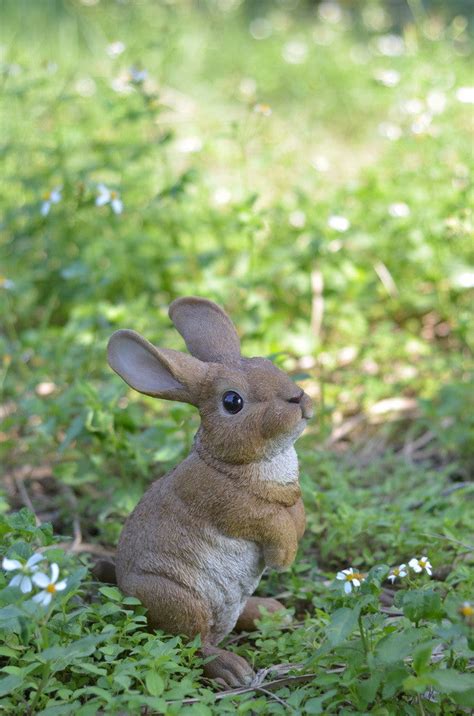 Buy Standing Rabbit Statue for Sale Online in USA & Canada. – OakValleyDecor