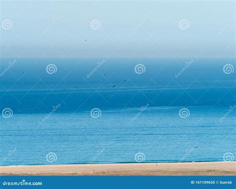 Black Storks on Migration Across the Straits of Gibraltar Stock Photo - Image of wings, straits ...