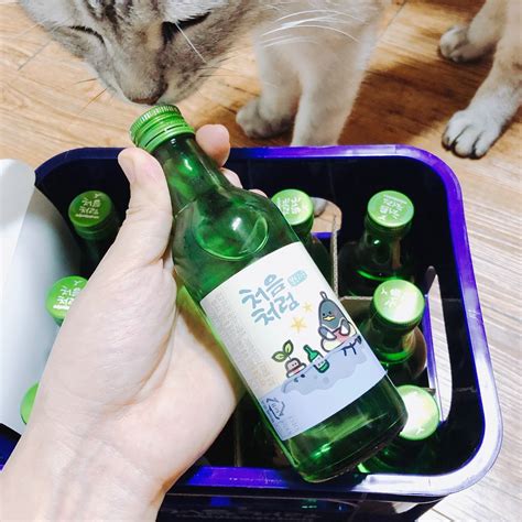 獨家 韓國燒酒新商品：初飲初樂迷你限量四季燒酒組！처음처럼mini開箱and銷售據點分享必買推薦伴手禮紀念品 無脈絡landy玩韓國