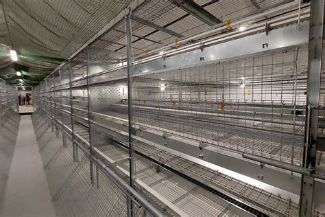 Compact Rearing Aviary Potters Poultry International