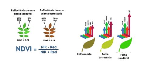 Ndre Versus Ndvi Qual Melhor Para Sua Fazenda