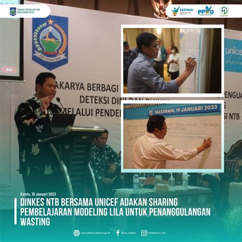 Dinkes NTB Bersama UNICEF Adakan Sharing Pembelajaran Modeling LILA