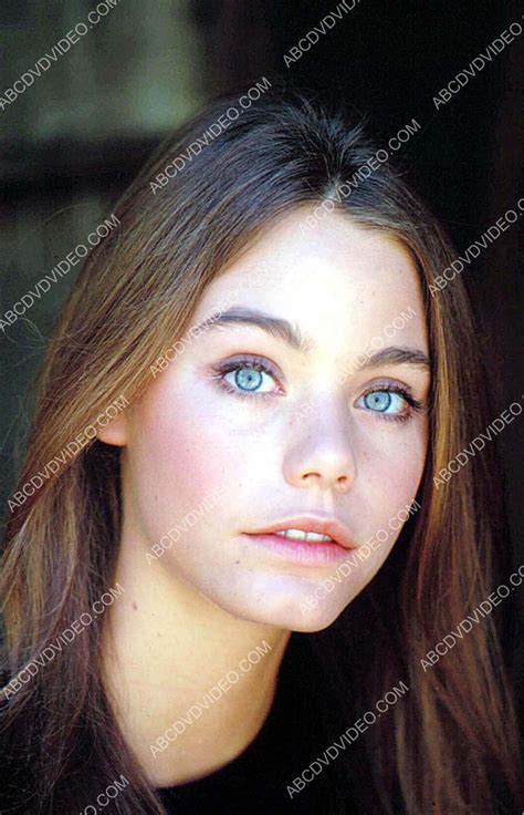 Lovely Susan Dey Portrait 8b20 19080 Abcdvdvideo