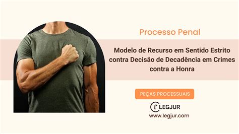 Modelo De Recurso Em Sentido Estrito Para Reforma De Decis Pe As