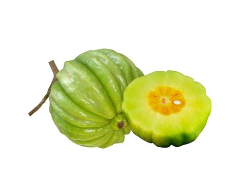 Premium Photo Garcinia Gummigutta Fruits Looks Like A Small Pumpkin