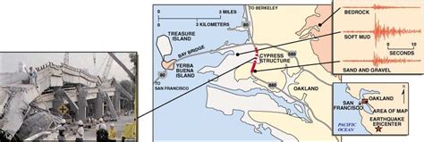 Information About Cypress Structure Collapse On Cypress Structure