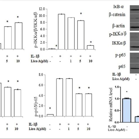 Effects Of Lico A On The Nf κb And Wnt β Catenin Signaling Pathways Download Scientific Diagram