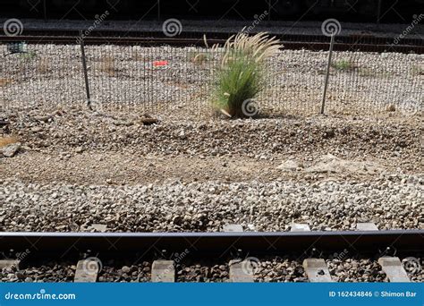 Eisenbahngleis Und Waggons In Israel Stockfoto Bild Von Lastwagen