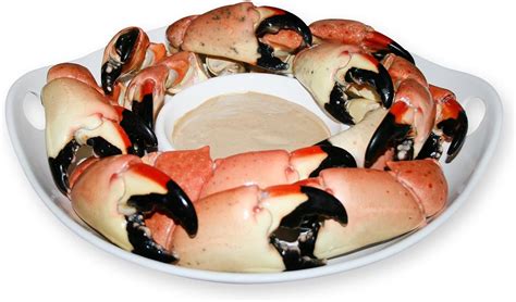 Fresh Steamed Florida Stone Crab Claws 5 Lbs Large Sized